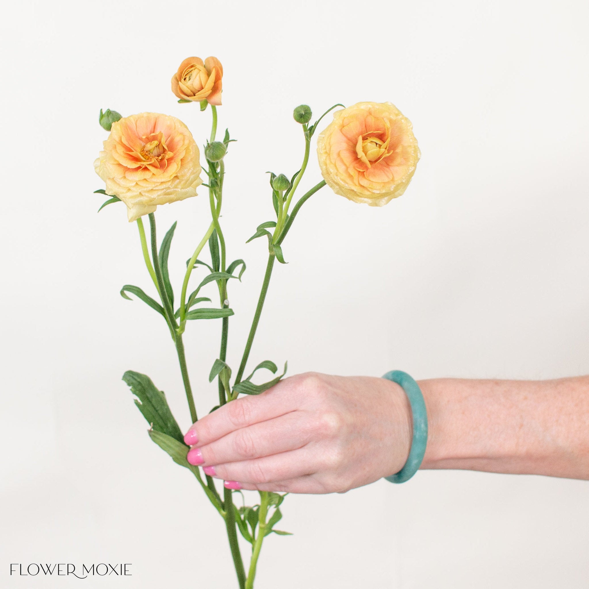 Apricot Butterfly Ranunculus
