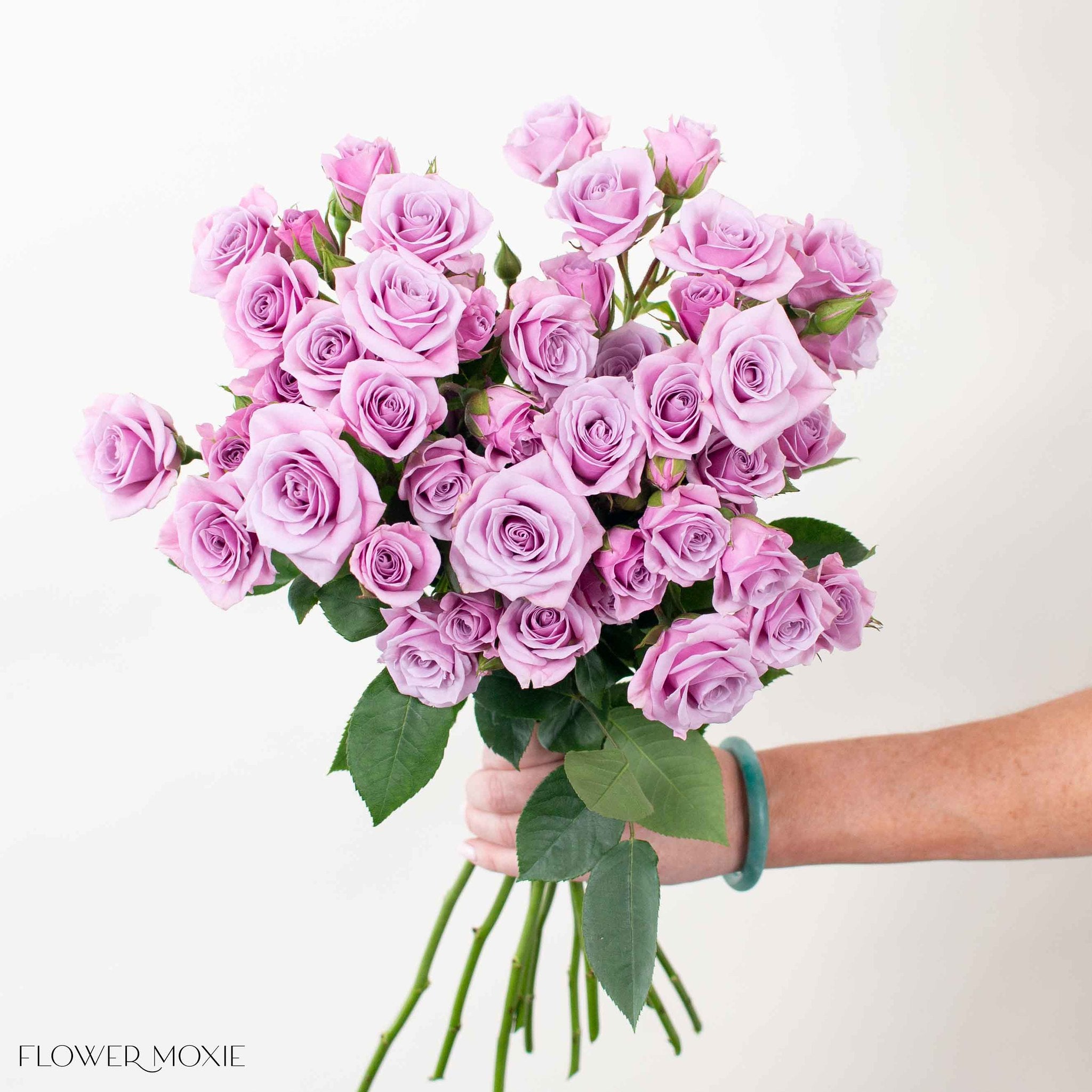 lavender spray roses