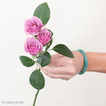 lavender spray roses