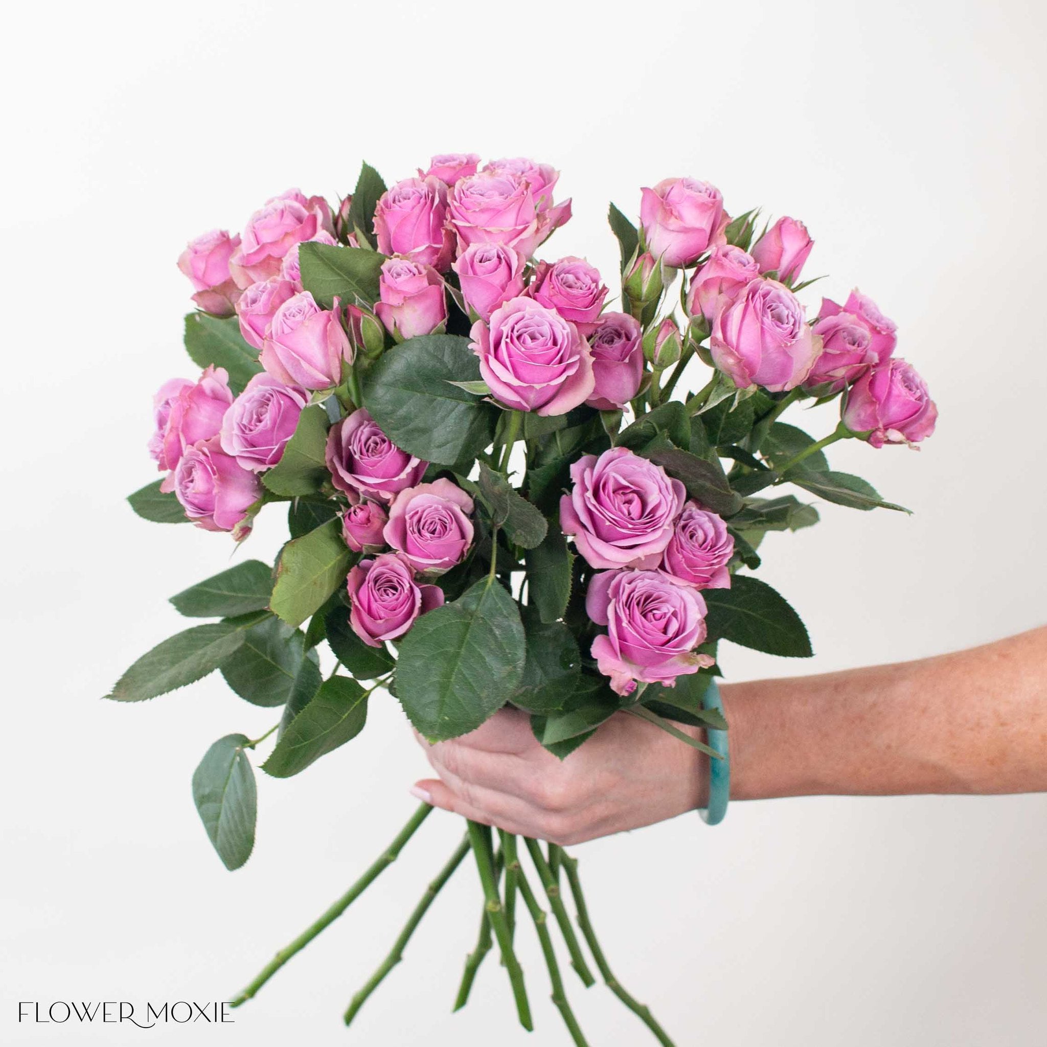 lavender spray roses