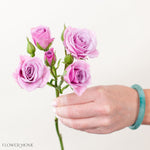 lavender spray roses