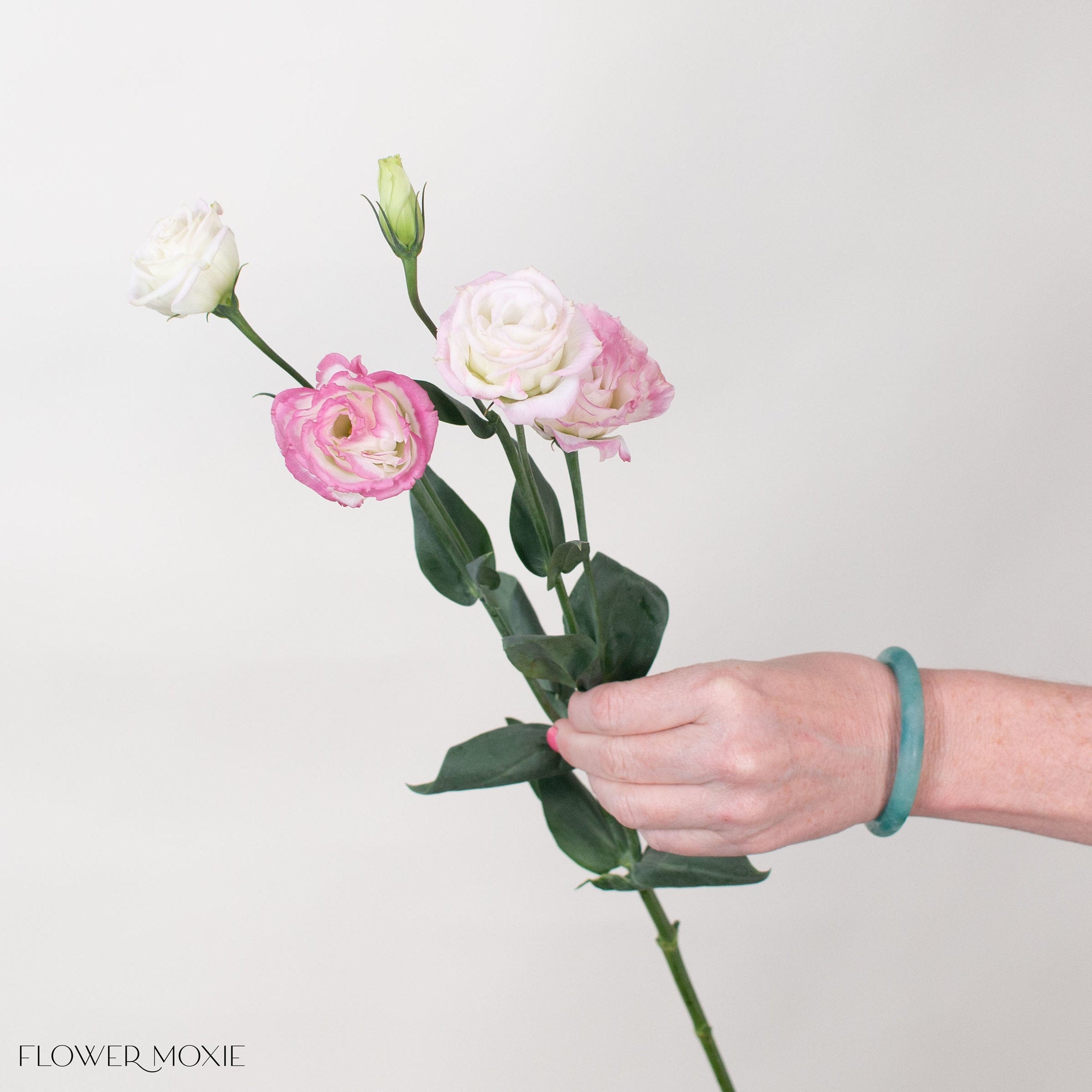 White and Pink Lisianthus Flower
