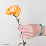 Copper Tinted Carnation Flower
