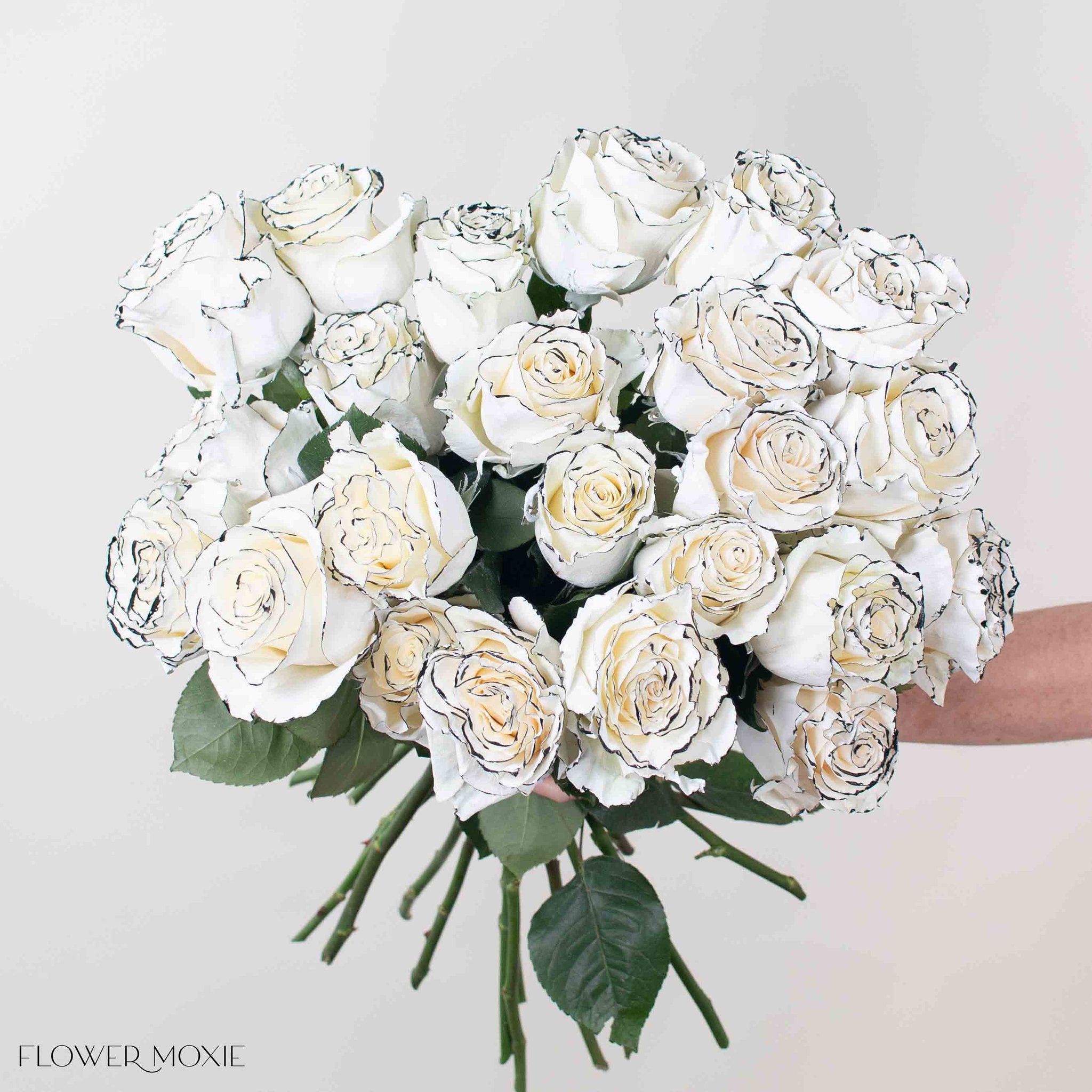 Black & White Tuxedo Novelty Rose
