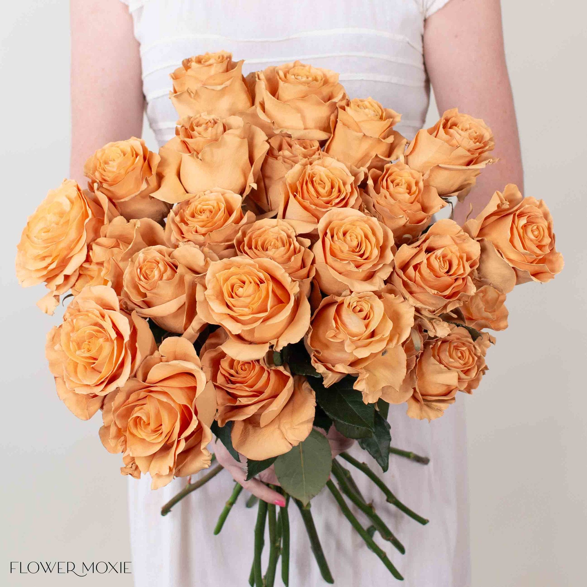 Painted Brown Toffee Novelty Rose
