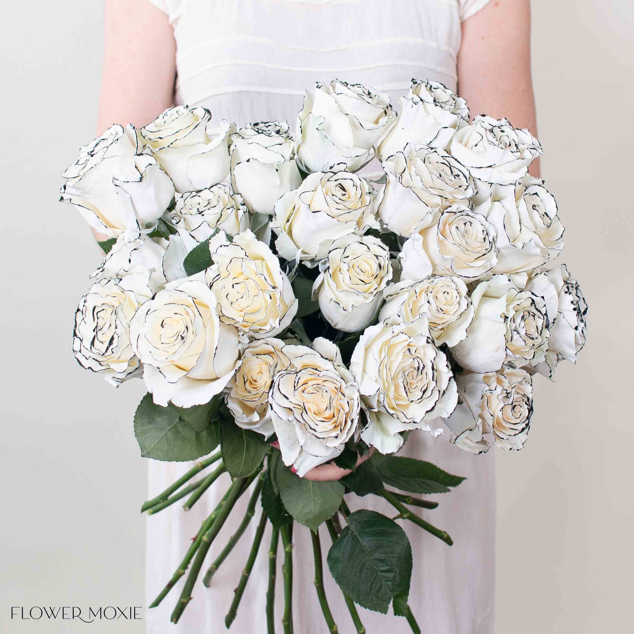 Black & White Tuxedo Novelty Rose
