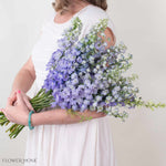 Lavender Delphinium Flower
