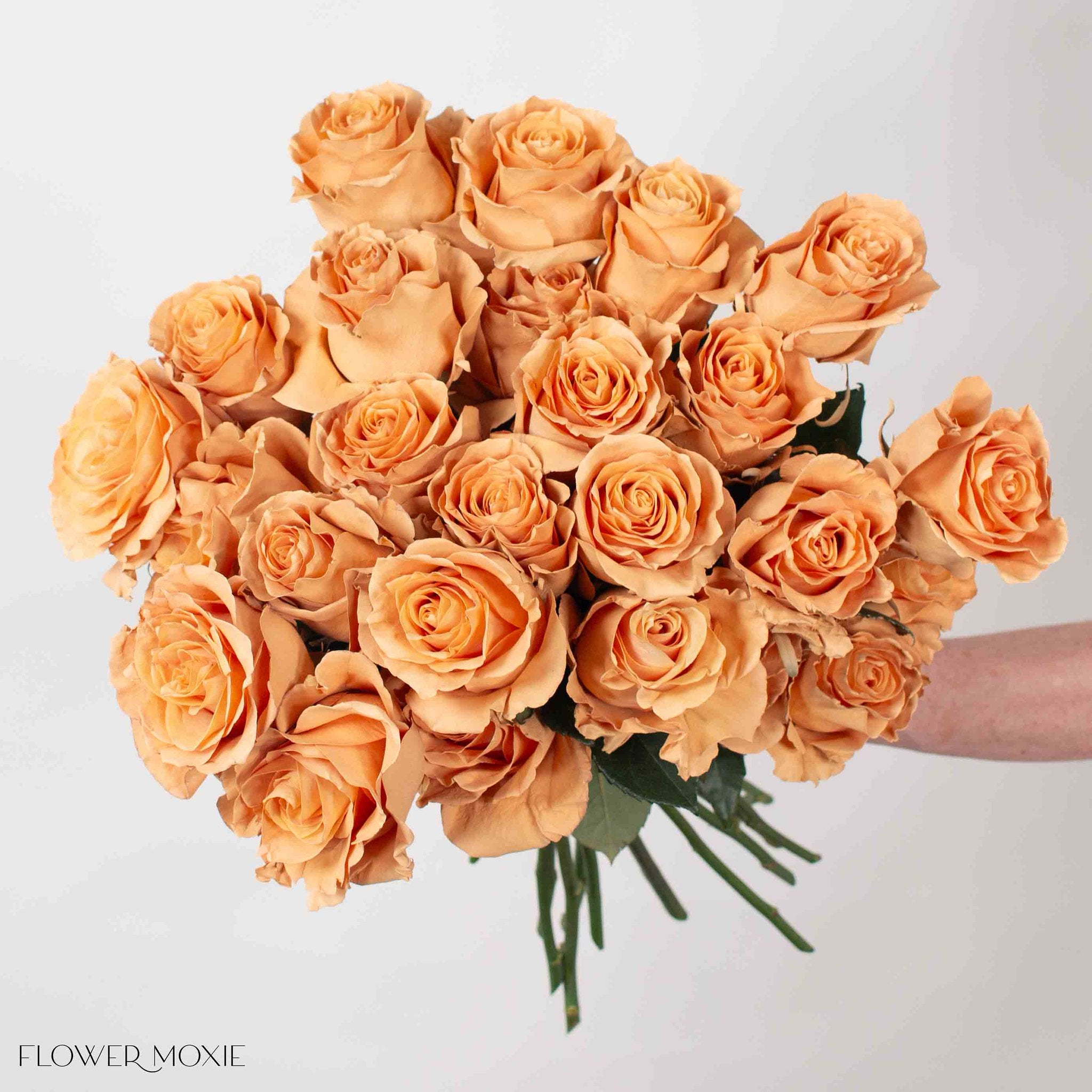 Painted Brown Toffee Novelty Rose
