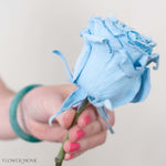 Light Blue Velvet Novelty Rose
