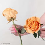 Painted Brown Toffee Novelty Rose
