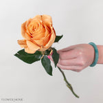 Painted Brown Toffee Novelty Rose
