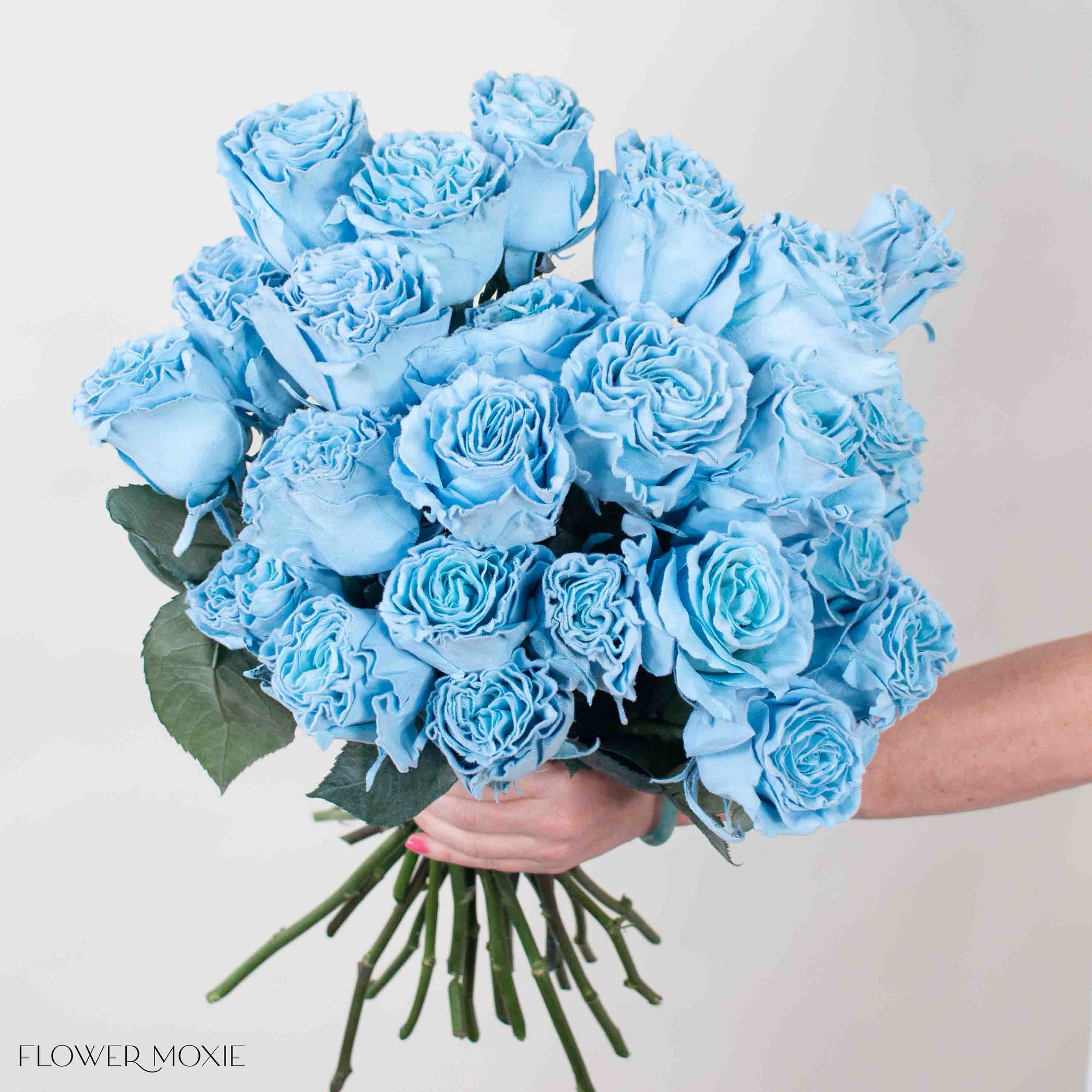 Novelty Roses | Flower Moxie | Roses for DIY Wedding