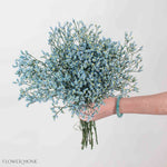 Tinted Blue Limonium Flower
