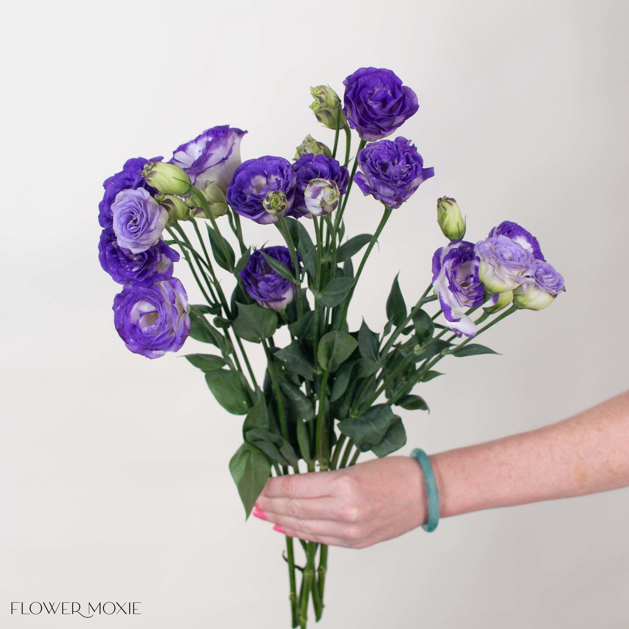 White and Purple Lisianthus Flower
