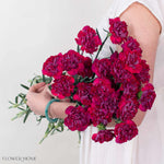 Raspberry Plum Carnation Flower