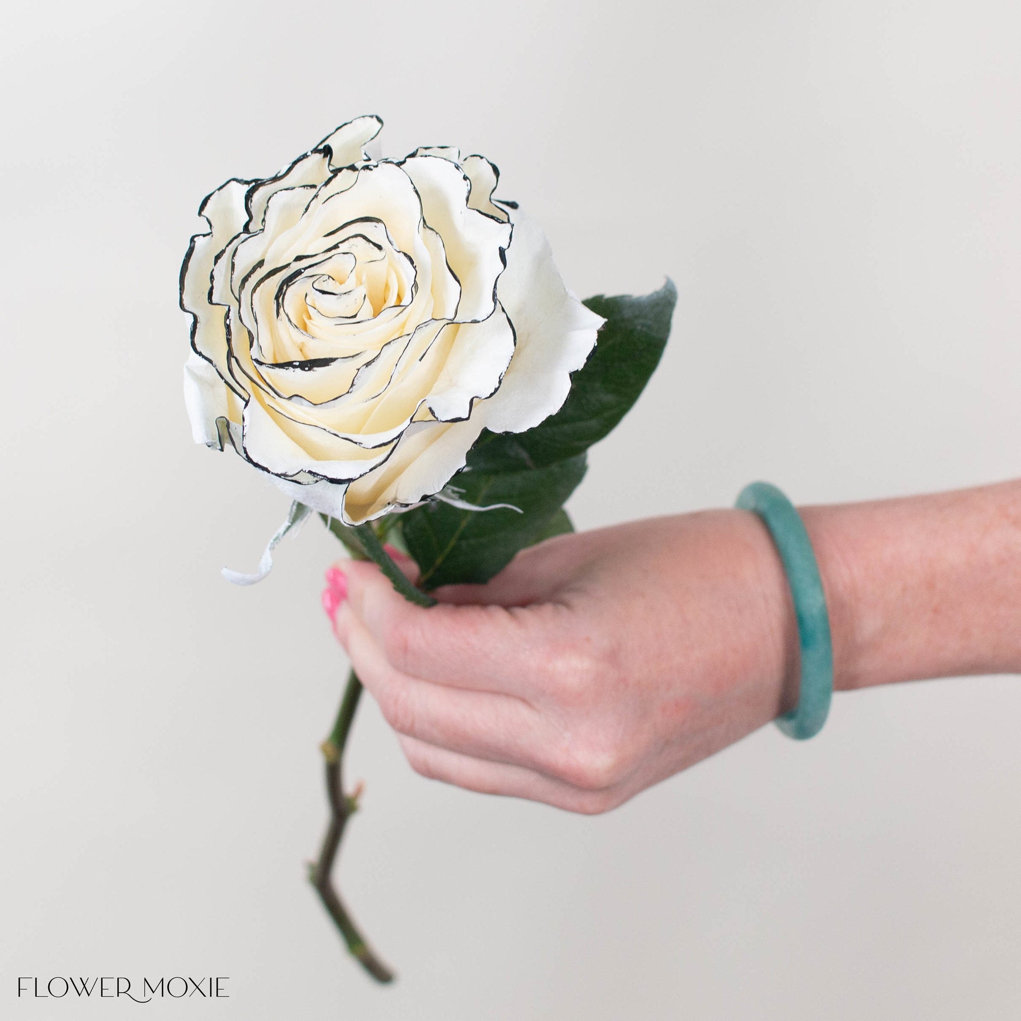 Black & White Tuxedo Novelty Rose
