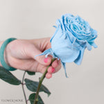 Light Blue Velvet Novelty Rose
