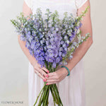 Lavender Delphinium Flower
