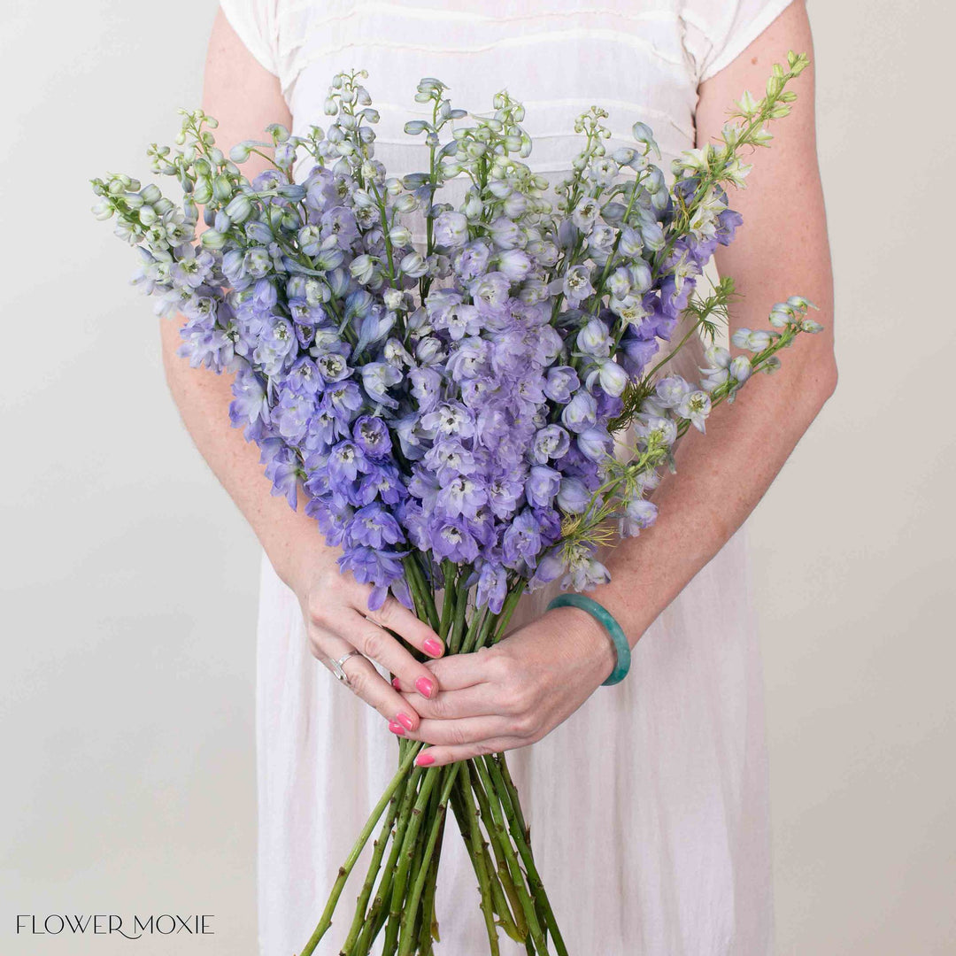 lavender as a cut flower Lavender Delphinium Flower | Fresh DIY Wedding Flowers | Flower Moxie 50 Stems