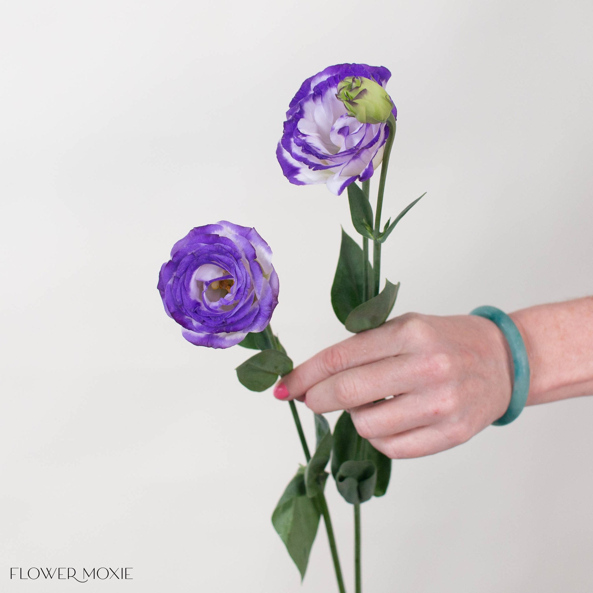 White and Purple Lisianthus Flower
