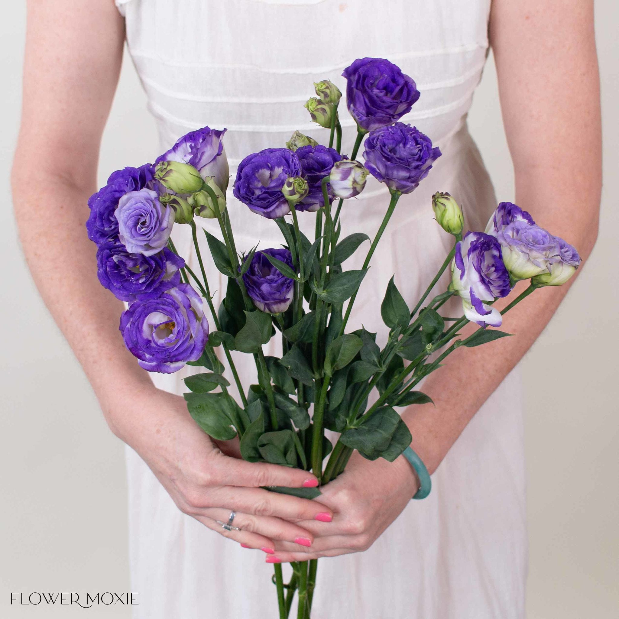 White and Purple Lisianthus Flower
