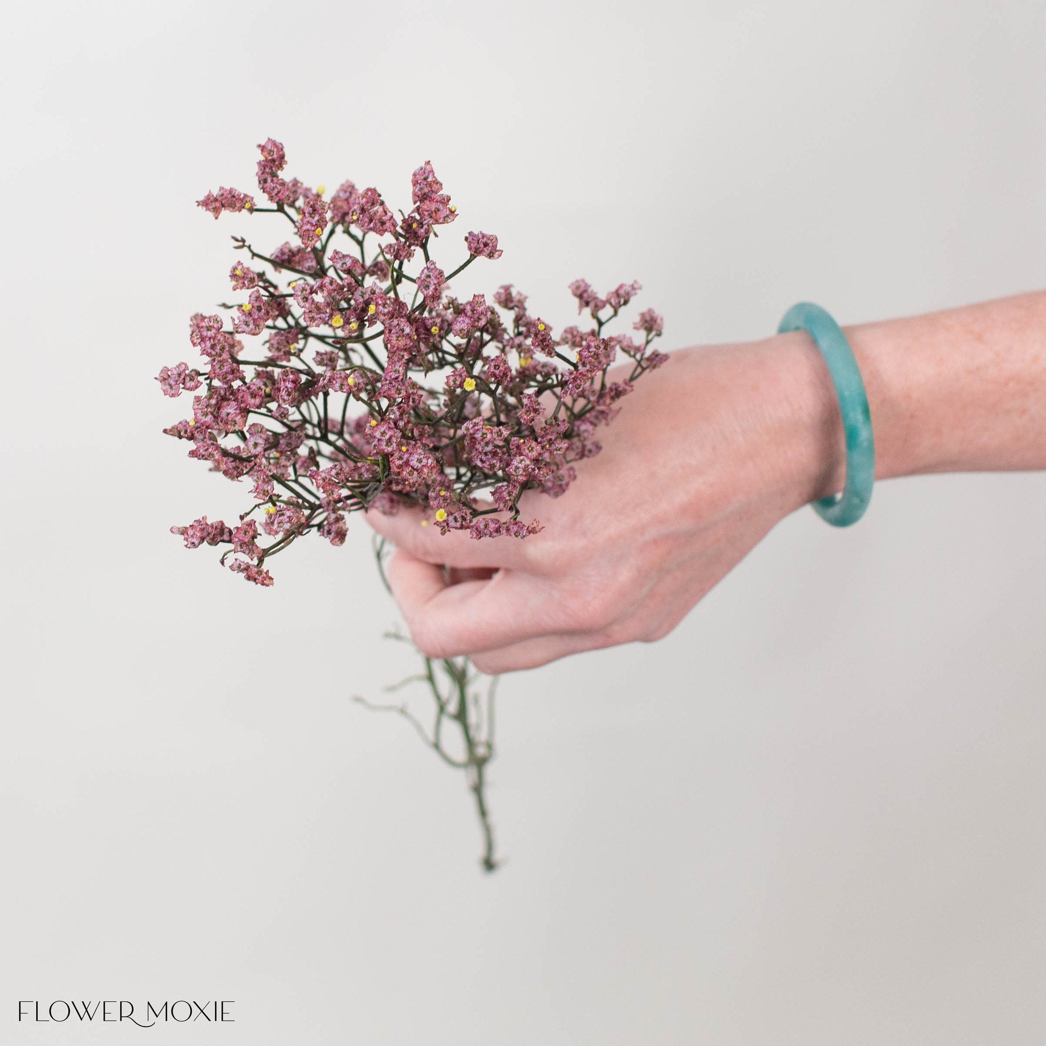 Tinted Cinnamon Limonium Flower
