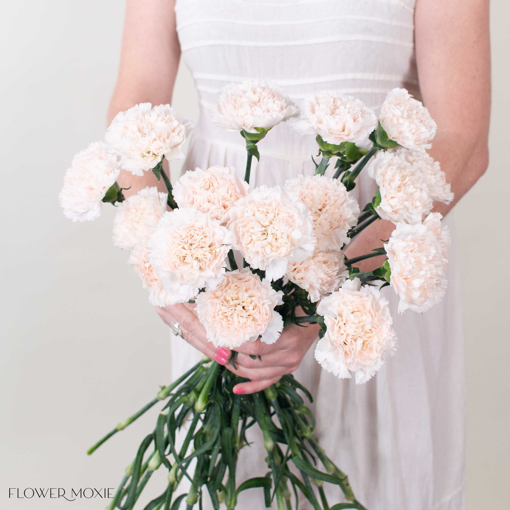 Soft Blush Carnation Flower