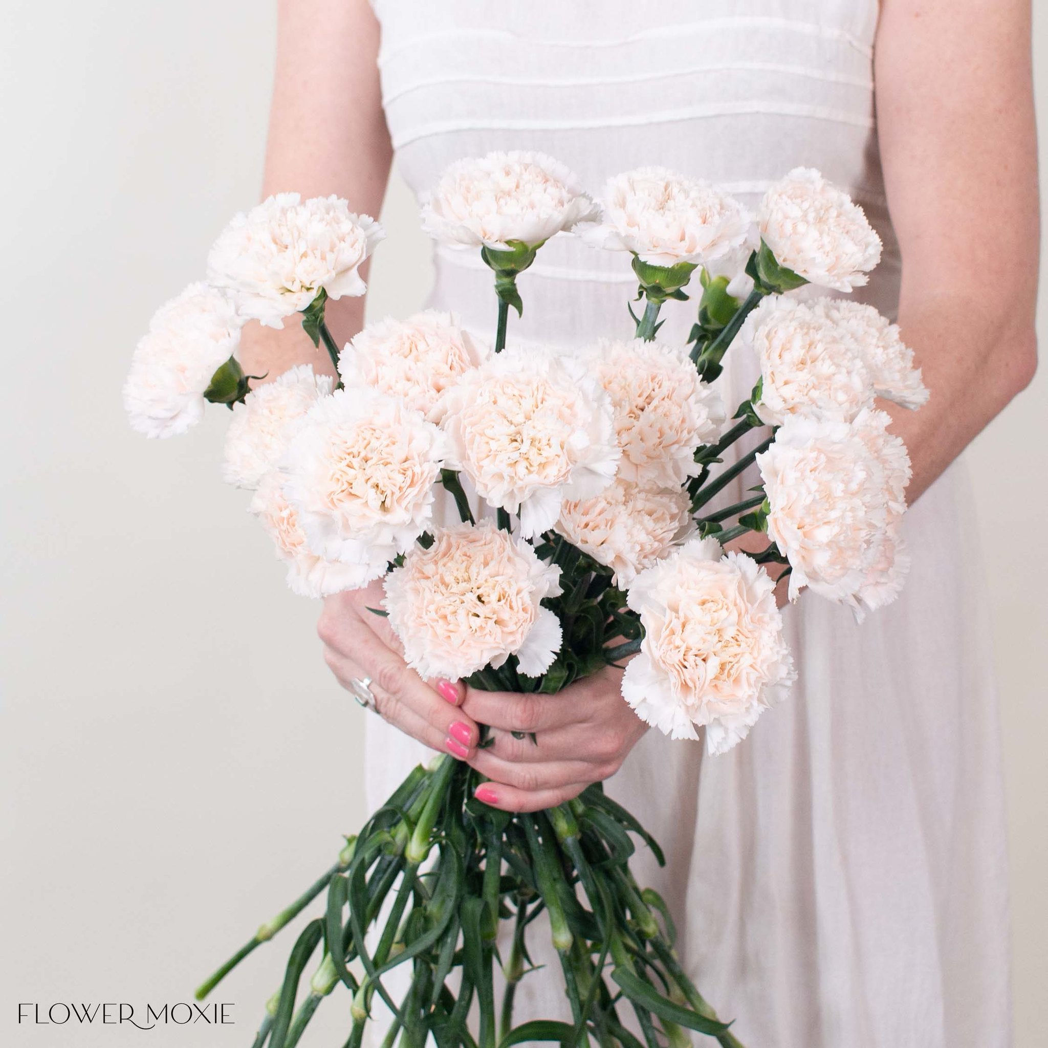 Soft Blush Carnation Flower