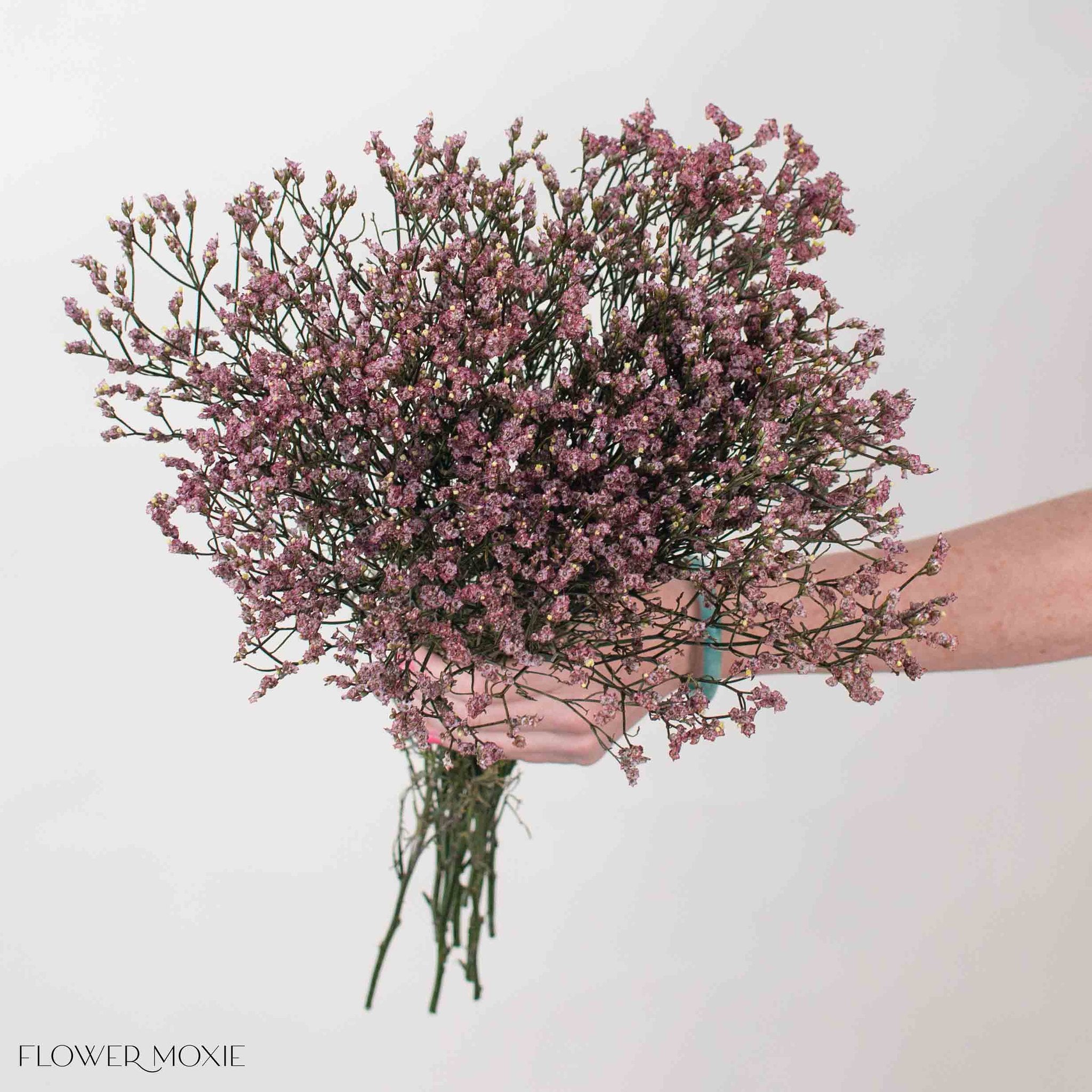 Tinted Cinnamon Limonium Flower
