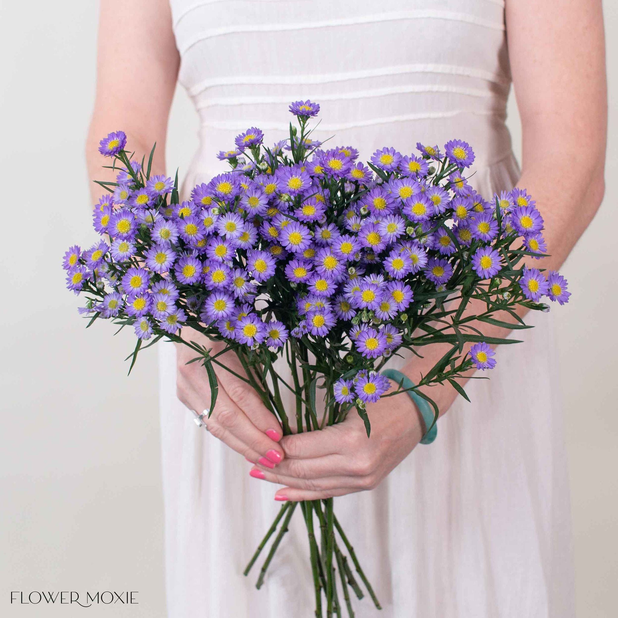 Lavender Meadow Aster Flower | Fresh DIY Wedding Flowers | Flower