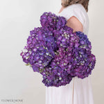 Purple Hydrangea Flower
