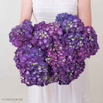 Purple Hydrangea Flower
