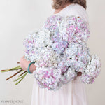 Pink Lilac Antique Jumbo Hydrangea Flower