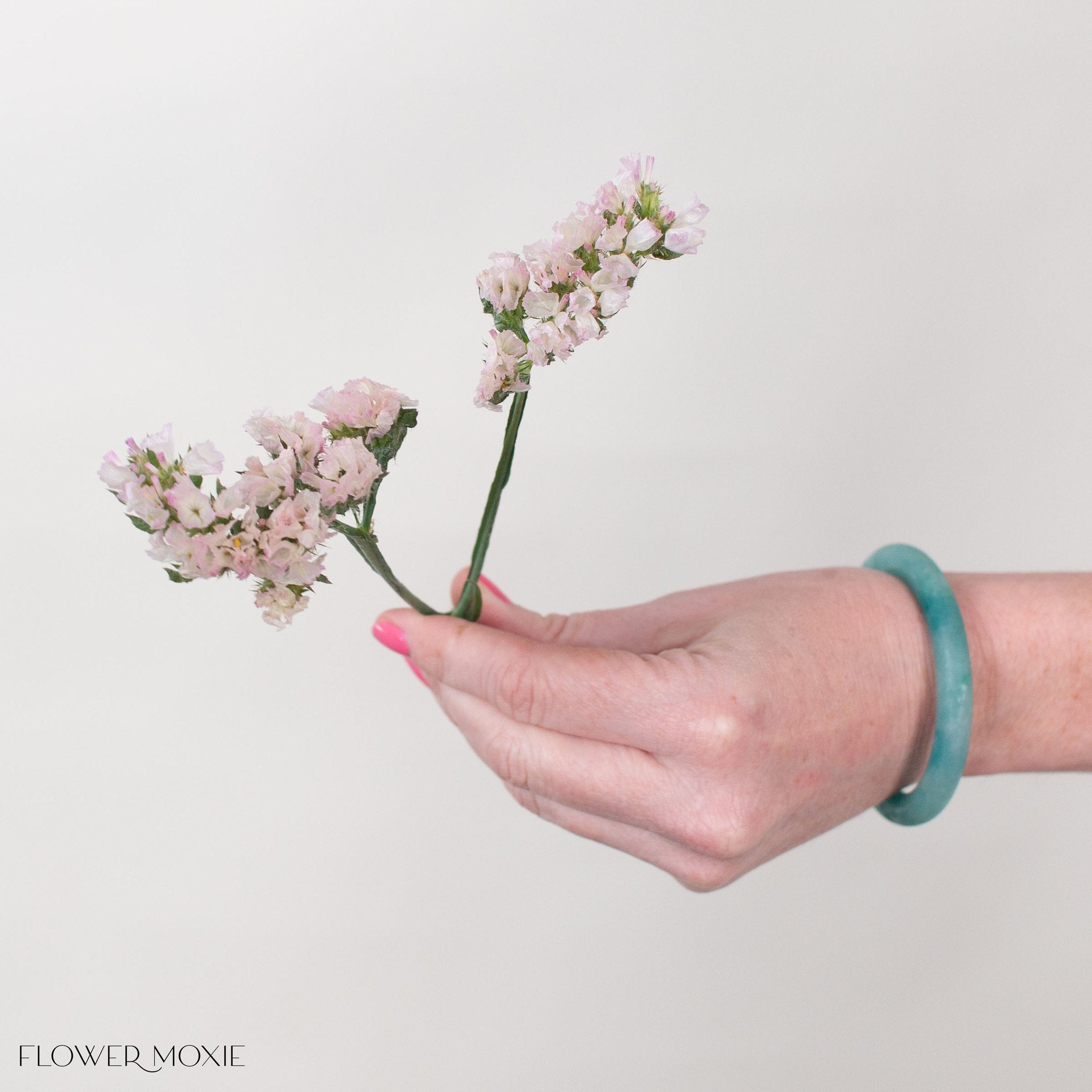 Apricot Statice Flower
