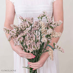 Apricot Statice Flower
