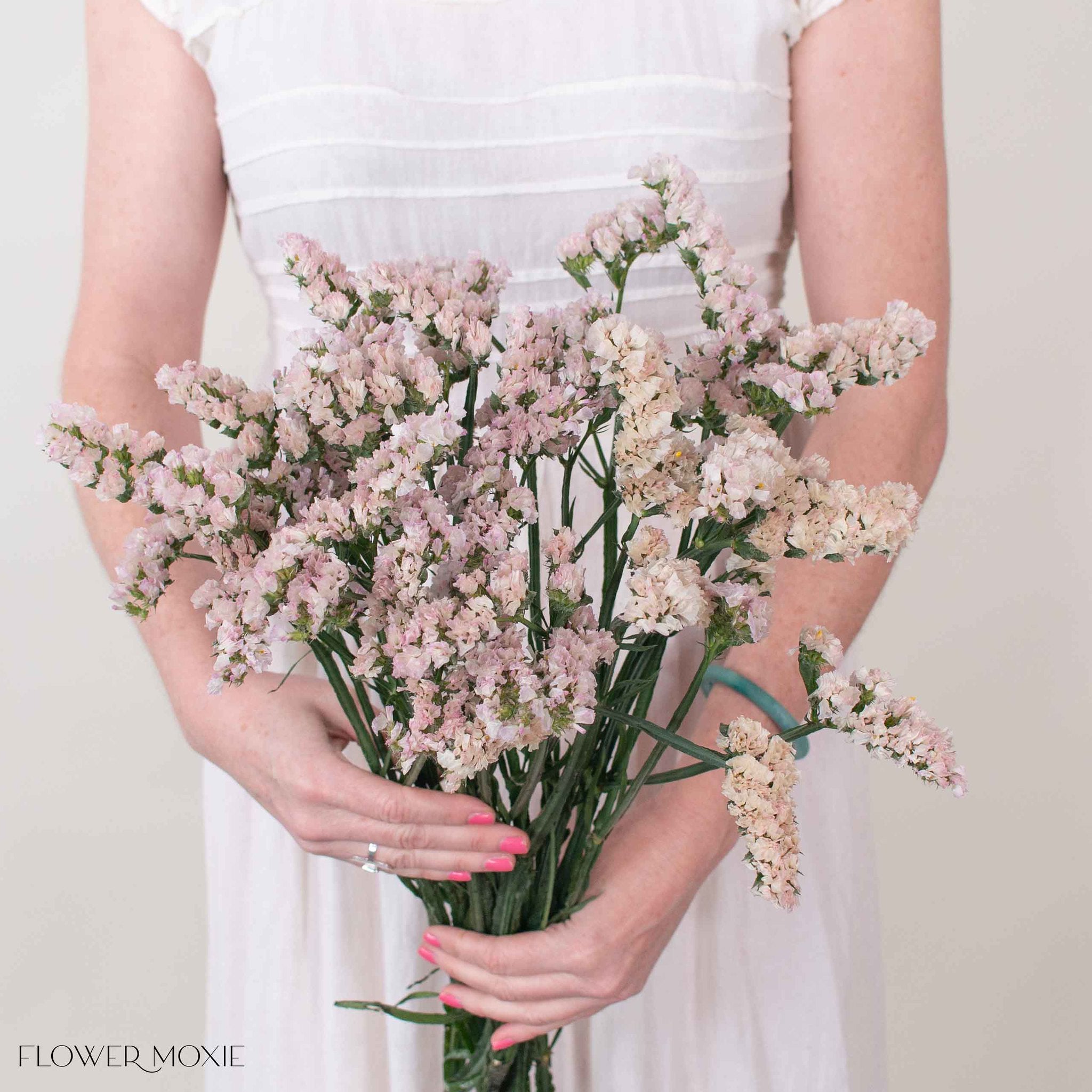 Apricot Statice Flower
