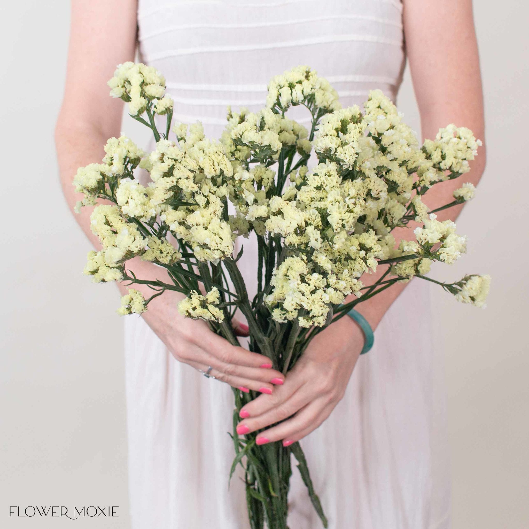 Pale Yellow Statice Flower
