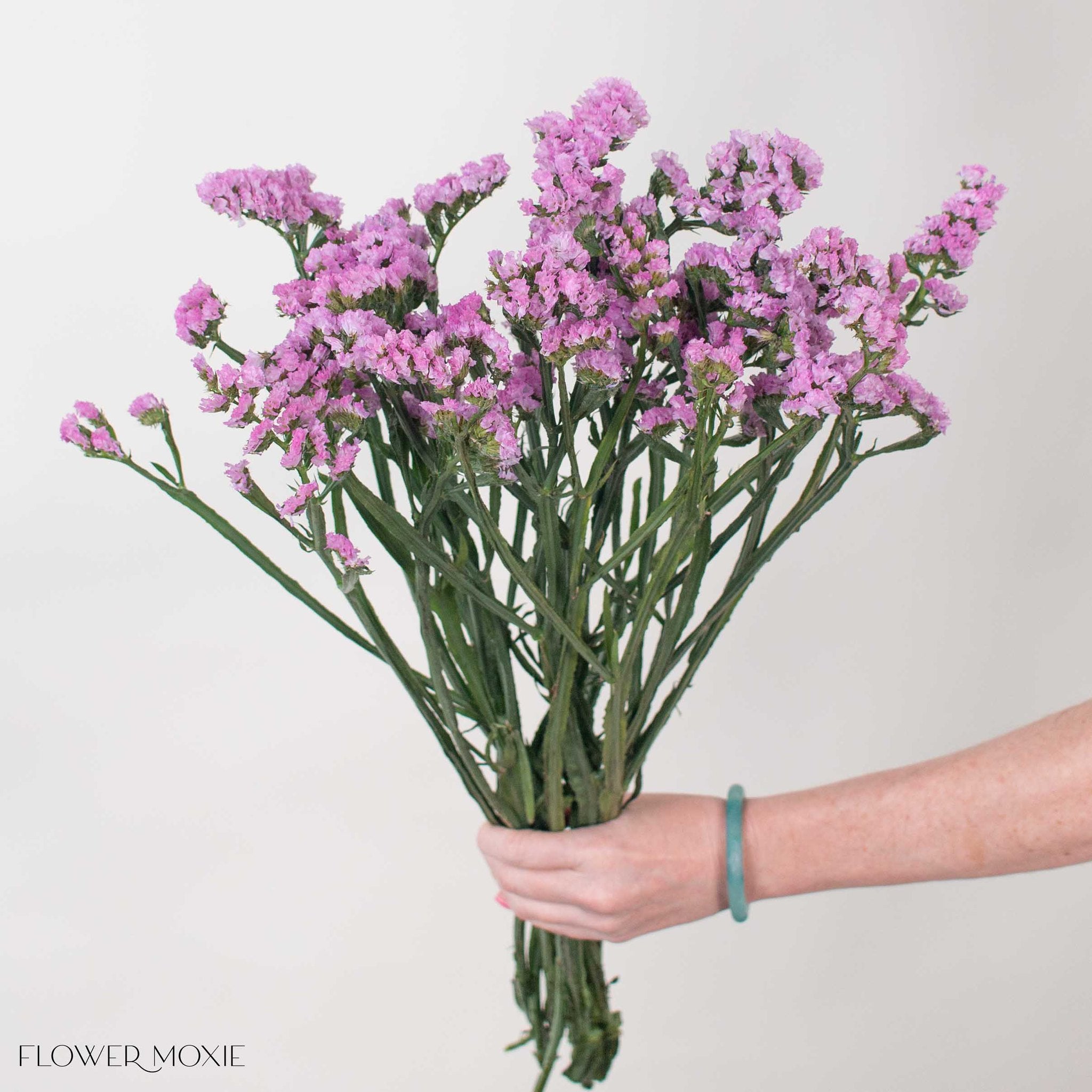 Deep Pink Statice Flower
