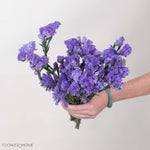 Lavender Statice Flower
