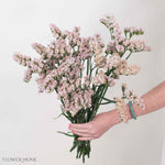 Apricot Statice Flower
