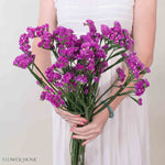 Deep Pink Statice Flower
