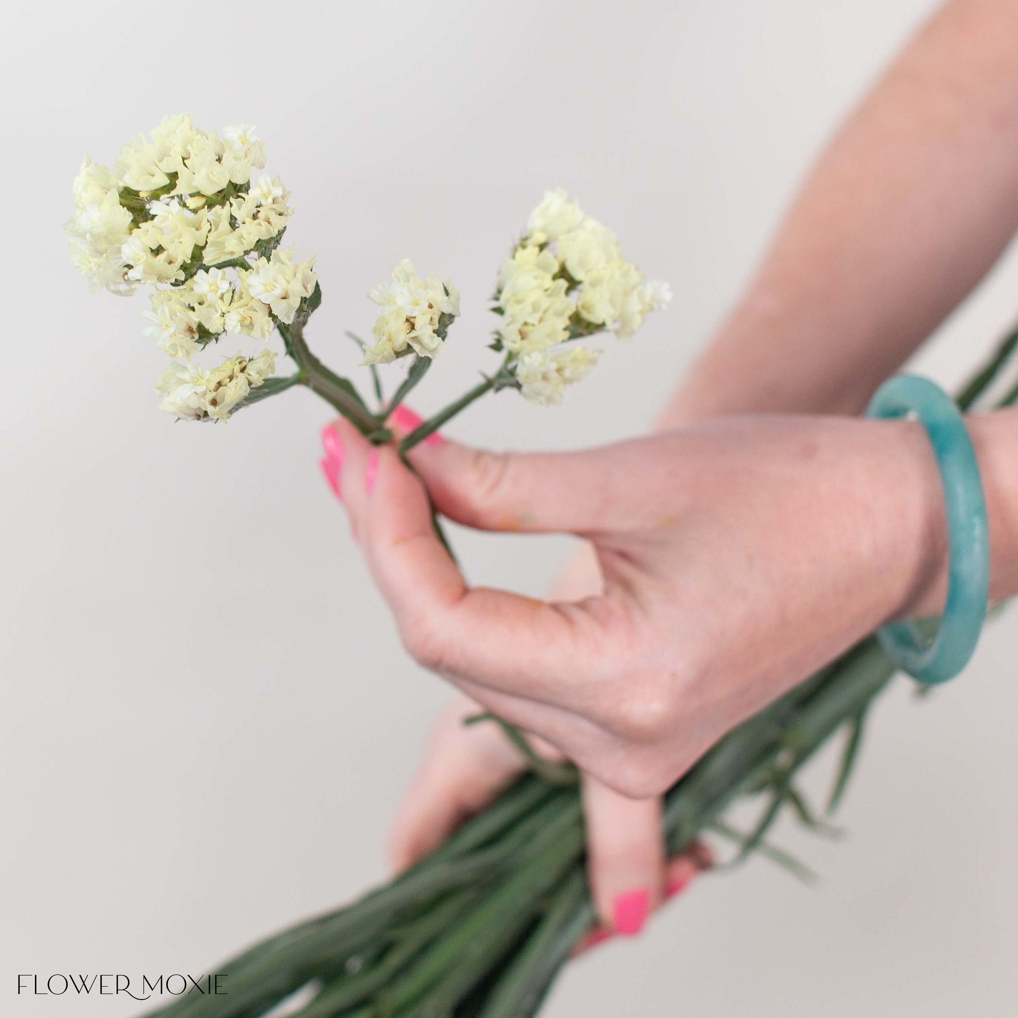 Pale Yellow Statice Flower
