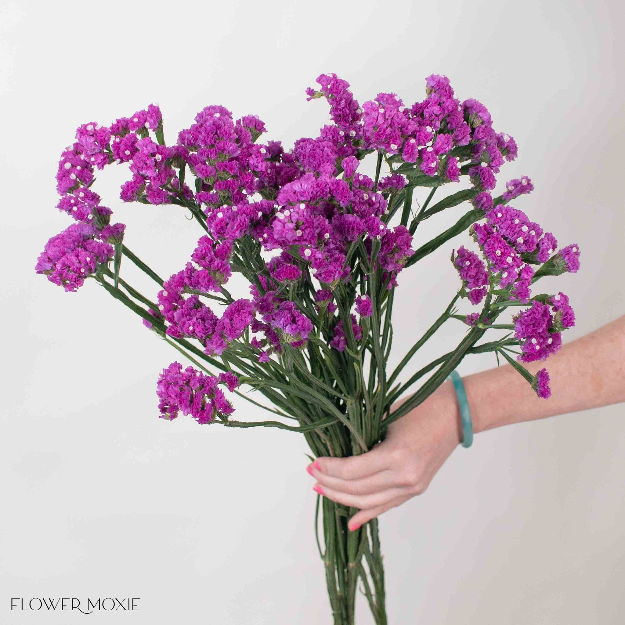 Deep Pink Statice Flower
