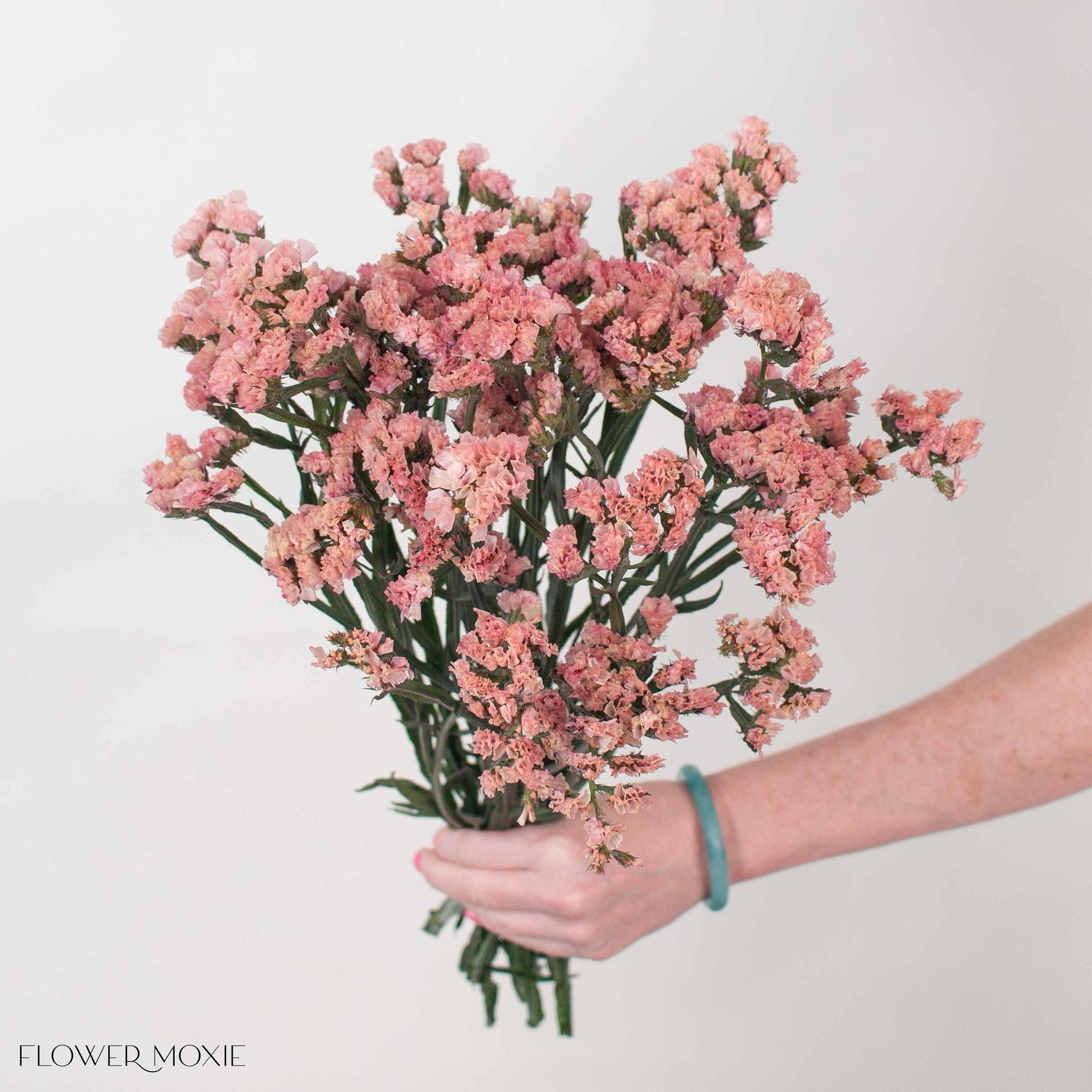 Peach Statice Flower
