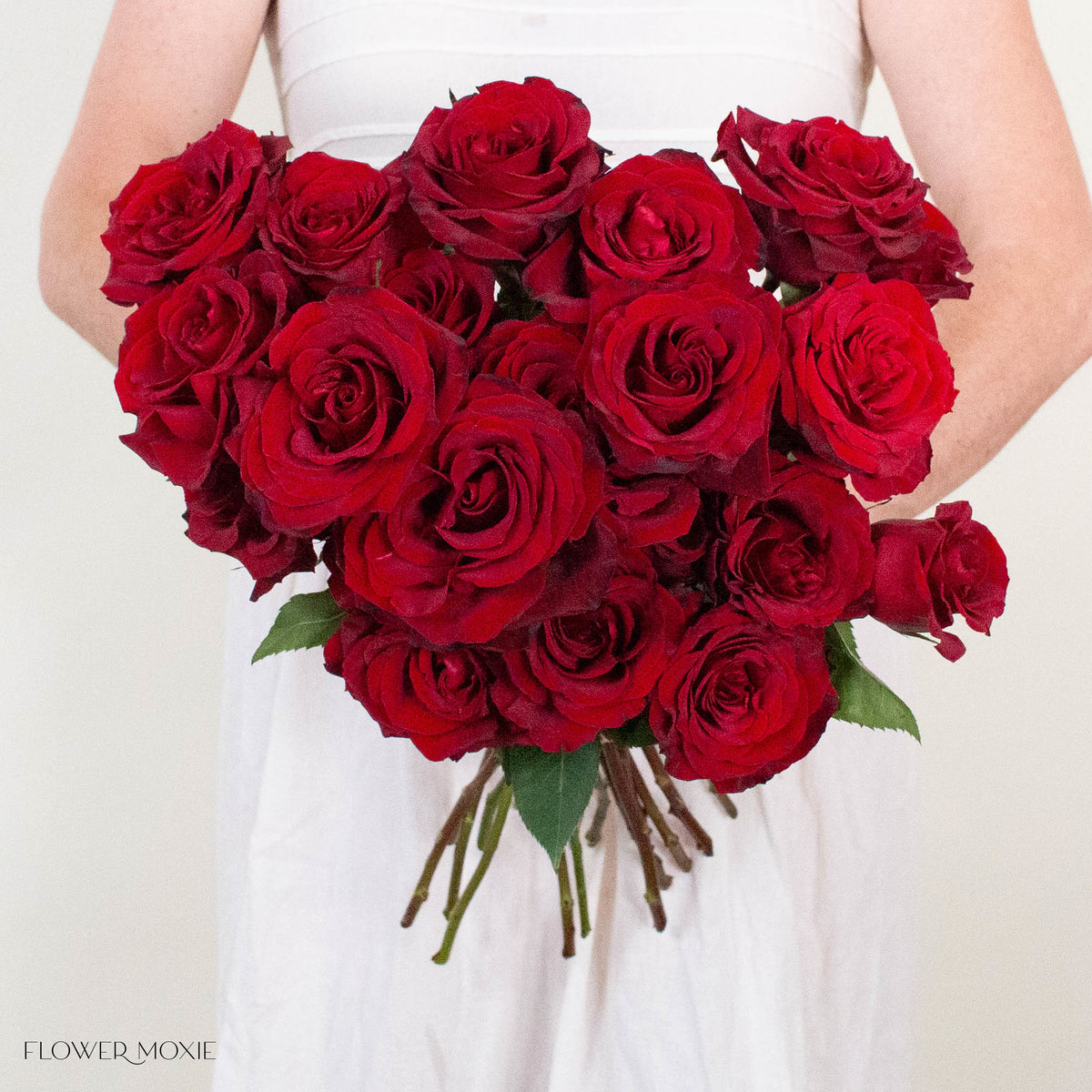 Dark Red Black Pearl Rose
