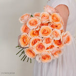 Peach Felicity Rose
