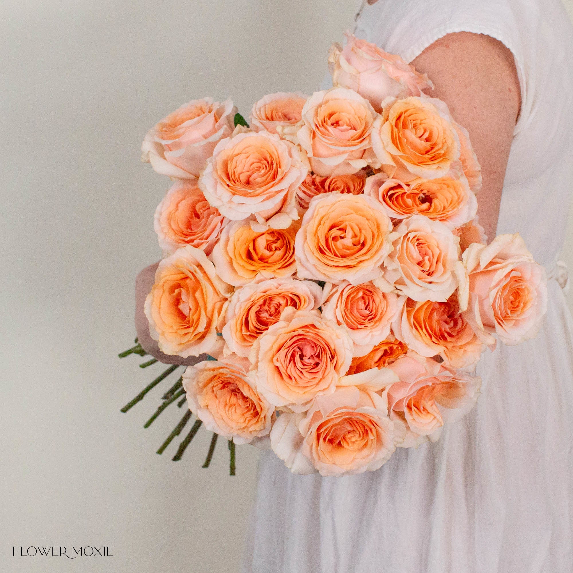 Peach Felicity Rose
