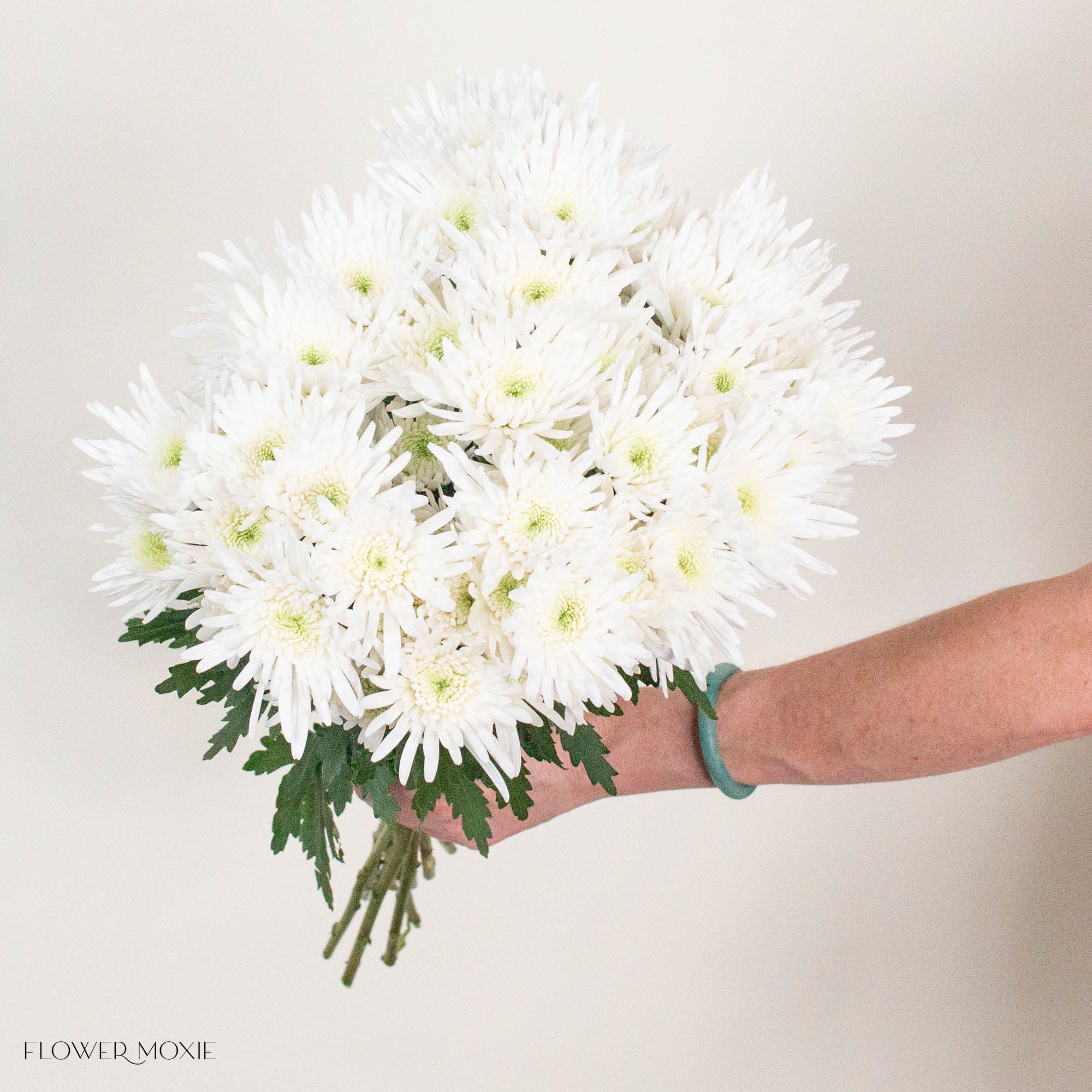 White Cushion Pom Flower
