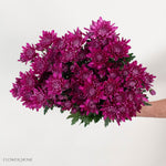 Purple Cushion Pom Flower