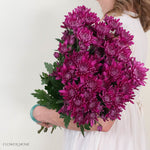Purple Cushion Pom Flower